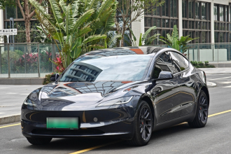 特斯拉 Model 3 2023款 长续航全轮驱动版