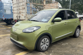 五菱汽车 五菱缤果 2023款 333km 快享款