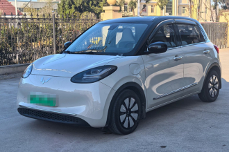 五菱汽车 五菱缤果 2023款 333km 悦享款