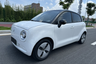 欧拉黑猫 2022款 301km 萌宠版 磷酸铁锂