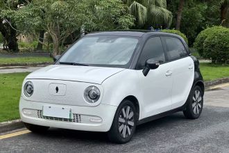 欧拉黑猫 2021款 351km 豪华型