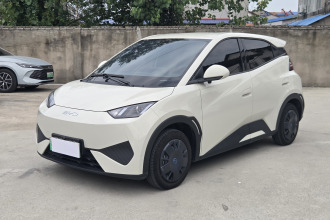 比亚迪 海鸥 2025款 智驾版 305km 活力版