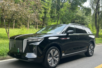 红旗E-HS9 2021款 460km 旗享版 六座