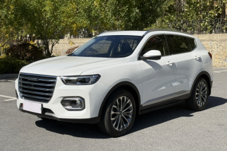 哈弗H6 2020款 2.0GDIT 自动铂金冠军版
