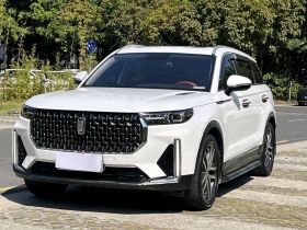 奔腾T99 2020款 20TD 自动尊享型