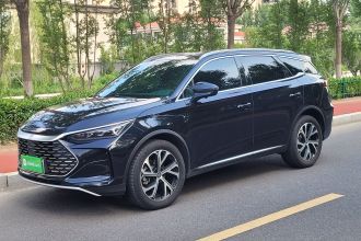 比亚迪 唐新能源 2025款 DM-i 115KM 尊贵型
