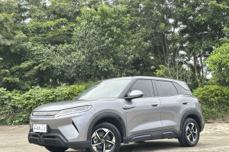 比亚迪 元UP 2024款 301KM 领先型