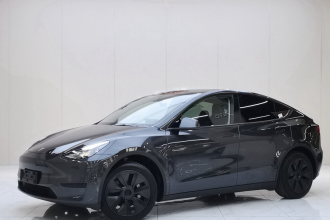 特斯拉 Model Y 2024款 后轮驱动版