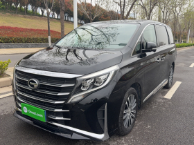 广汽传祺 传祺M8 2021款 领秀系列 390T 至尊版