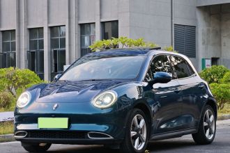 欧拉好猫 2021款 400km标准续航 维纳斯版 磷酸铁锂