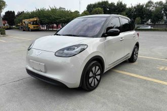 五菱汽车 五菱缤果 2023款 203km 舒享款