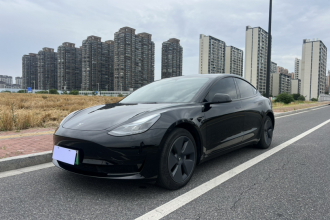 特斯拉 Model 3 2022款 后轮驱动版