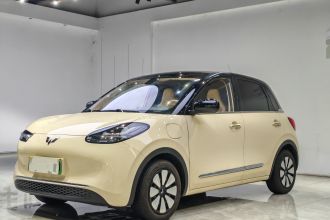 五菱汽车 五菱缤果 2025款 333km 灵犀互联款