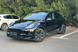 特斯拉 Model Y 2021款 标准续航后驱版
