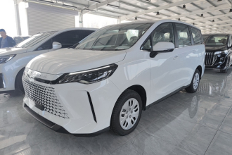 上汽大通MAXUS 大通G50 2024款 PLUS 1.5T 幸福推荐自动荣耀版