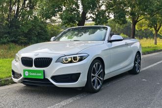 宝马2系(进口) 2019款 225i 敞篷轿跑车 运动设计套装