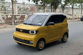 五菱汽车 宏光MINIEV 2021款 马卡龙时尚款 磷酸铁锂