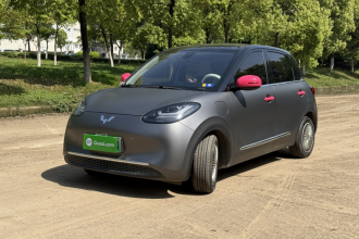 五菱汽车 五菱缤果 2023款 410km 灵犀尊享款