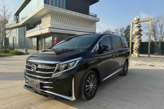 广汽传祺 传祺M8 2023款 领秀系列 390T 尊贵版