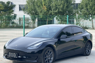 特斯拉 Model 3 2022款 后轮驱动版