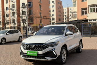 捷达VS5 2022款 280TSI 自动进取型