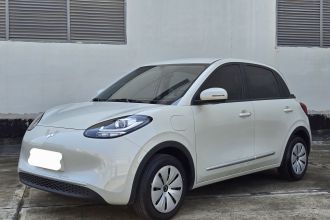 五菱汽车 五菱缤果 2024款 203km 轻享款
