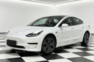 特斯拉 Model 3 2020款 标准续航后驱升级版