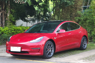特斯拉 Model 3(进口) 2019款 长续航后驱版