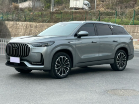 奇瑞 瑞虎9 2023款 2.0T 双离合两驱豪华版 5座