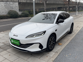 比亚迪 海豹06新能源 2025款 DM-i 智驾版 80KM尊贵型