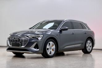奥迪e-tron 2021款 50 quattro 豪华型