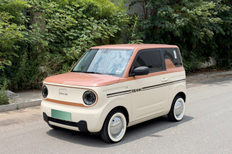 吉利银河 2023款 熊猫mini 200km 耐力熊
