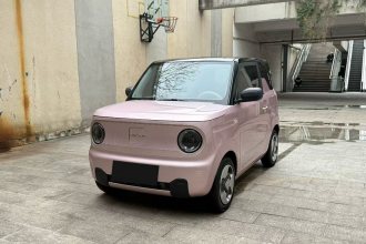 吉利银河 2023款 熊猫mini 200km 灵动熊
