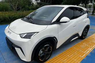 比亚迪 海鸥 2024款 荣耀版 305km 自由版