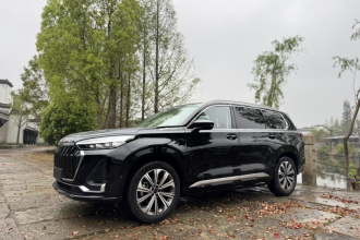 星途揽月 2023款 400T 四驱星尊版 6座