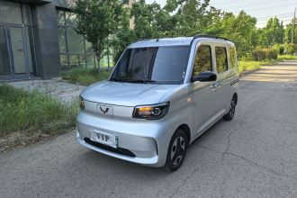 五菱汽车 五菱之光新能源 2025款 305km 进取型