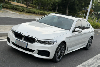 宝马5系 2020款 530Li 领先型 M运动套装