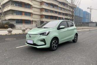 长安欧尚 奔奔E-Star 2022款 清心版 多彩款 磷酸铁锂