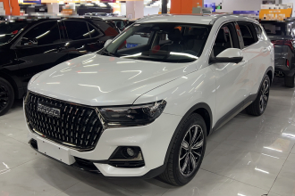 哈弗H6 2023款 国潮版 1.5T 自动冠军版