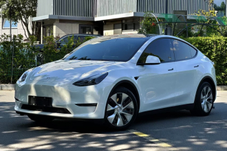 特斯拉 Model Y 2021款 标准续航后驱版
