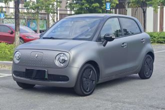 欧拉黑猫 2022款 301km 萌宠版 磷酸铁锂