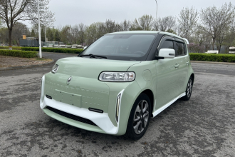 欧拉白猫 2022款 小野猫版 360km 豪华型 三元锂
