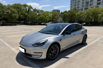 特斯拉 Model 3 2021款 Performance高性能全轮驱动版