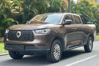 长城 炮 2019款 2.0T商用版自动汽油两驱精英型长箱GW4C20B