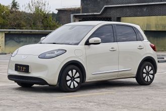 五菱汽车 五菱缤果 2023款 333km 悦享款