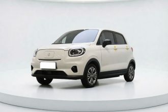 零跑汽车 零跑T03 2024款 310舒享版