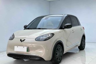 五菱汽车 五菱缤果 2023款 410km 灵犀尊享款