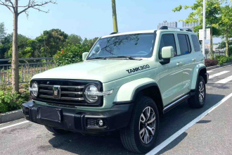坦克300 2024款 2.0T 穿越者
