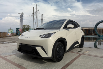 比亚迪 海鸥 2024款 荣耀版 305km 活力版
