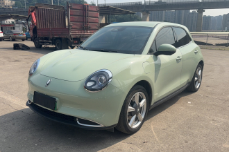 欧拉好猫 2023款 401km标准续航 豪华型 三元锂